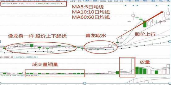 星图国际盘中异动，一场被无形之手拨动的资本星图