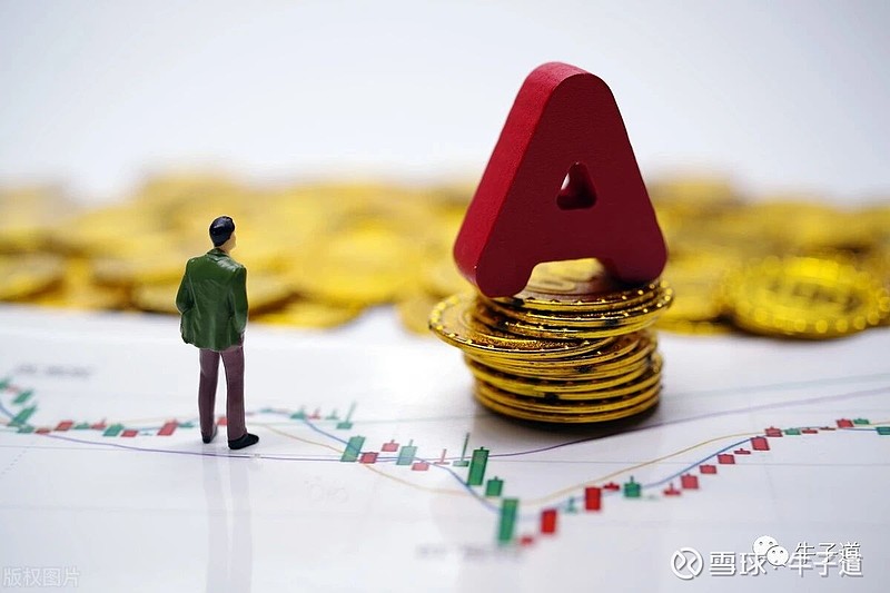 A股第二高价股的隐喻，光环、风险与价值反思