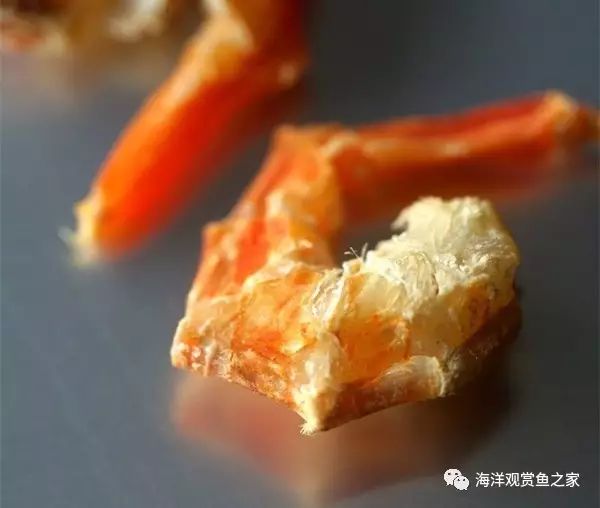 盘中那一抹白,虾筋变色背后的生命密码 盘中那一抹白,虾筋变色背后的生命密码