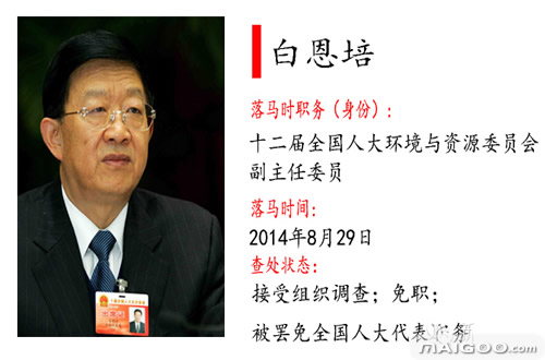 周末打虎！能源老将寇伟落马，电力反腐再揭行业沉疴