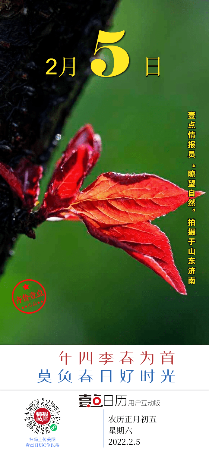 2月24日，在时间的褶皱里，寻找春天的第三个刻度