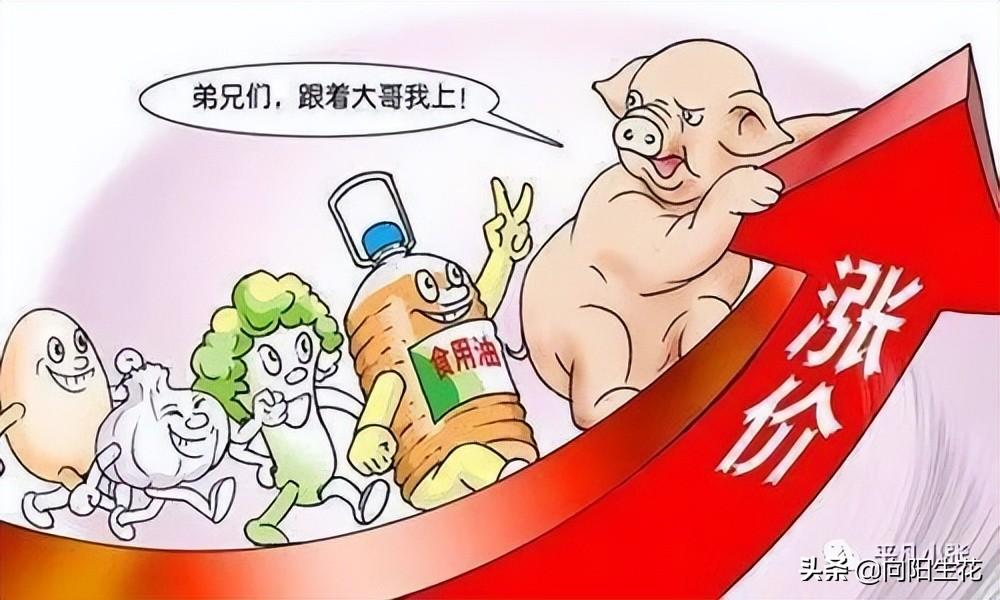 警惕通胀灰犀牛,为何我们仍需直面物价上行的潜在风险 警惕通胀灰犀牛,为何我们仍需直面物价上行的潜在风险