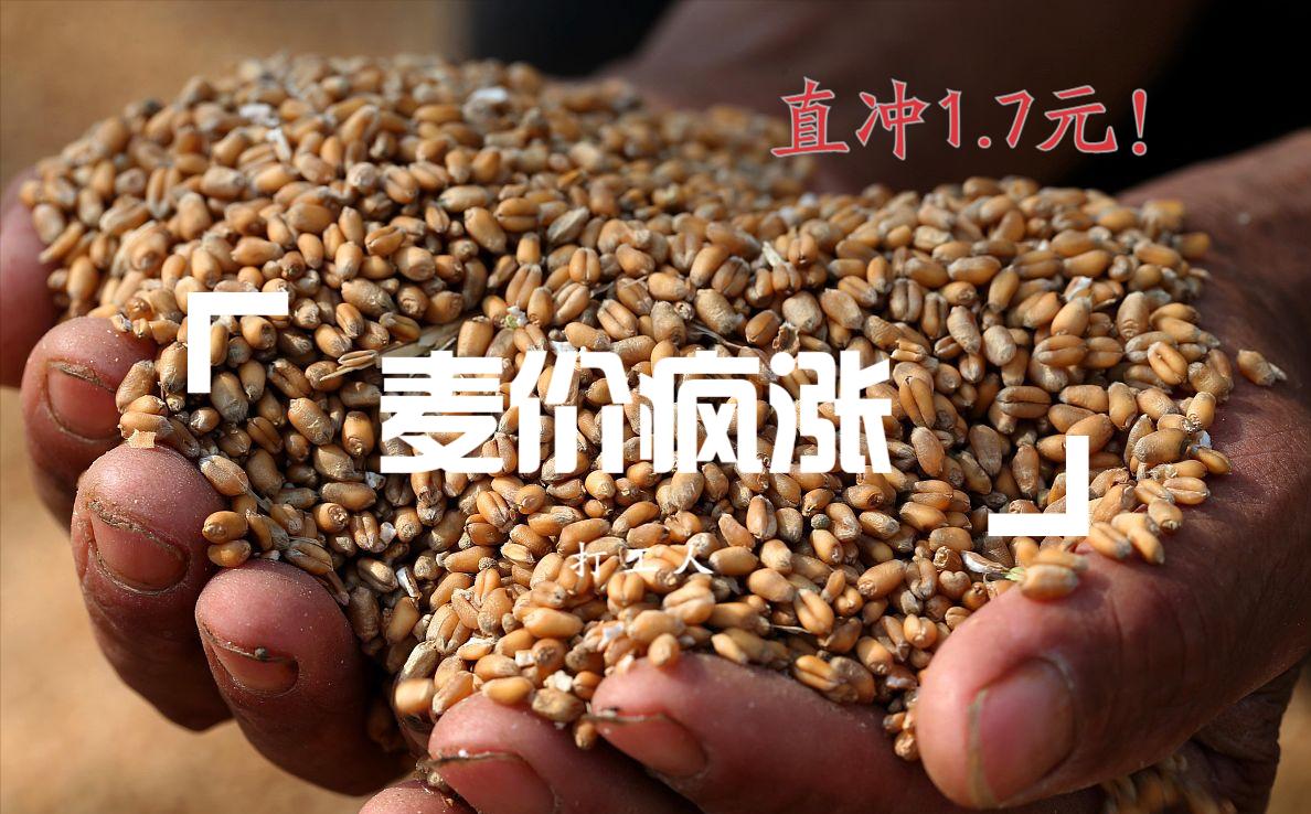 能源秩序的分水岭，全球能源供需前景引发深层担忧