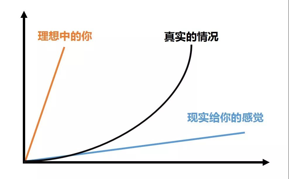 穿越周期迷雾，锚定长期价值，机构指其长期成长能见度依旧显著