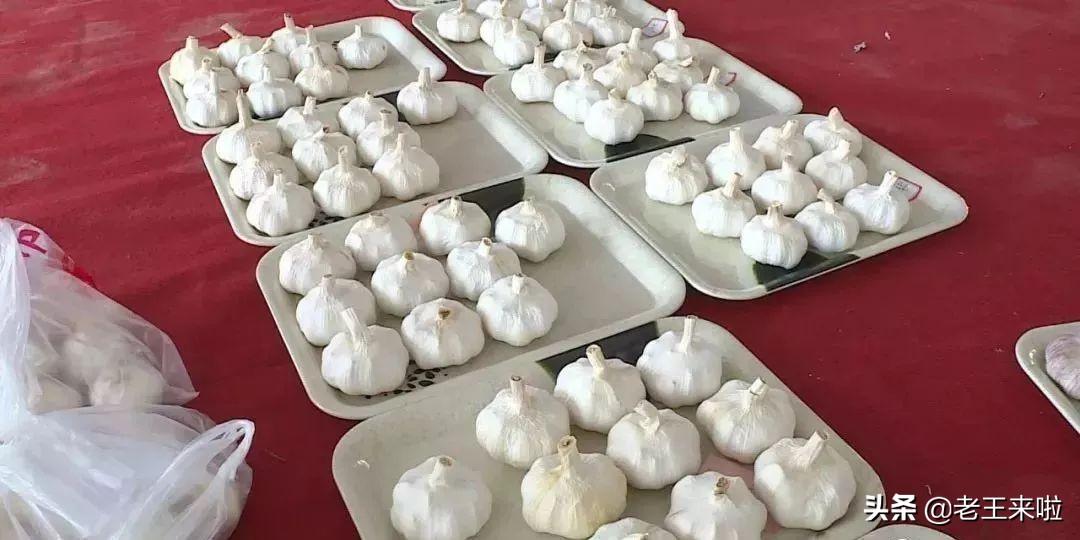 鲜卖郎，一瓣蒜撬动的鲜时代