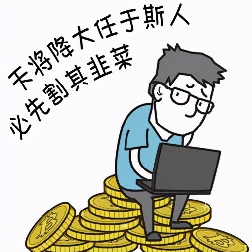 超10次熔断！这只迷你中概股的惊魂一夜，究竟发生了什么？