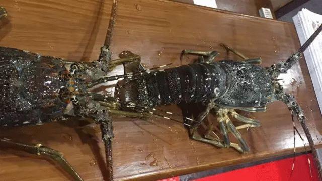 暖意升腾，一项关键数据创下近四个月来新高