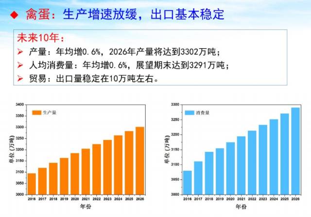 共推棉花产业高质量发展，从一朵棉到万亿链的价值跃迁
