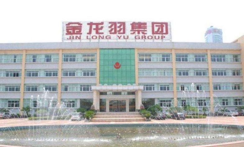 金龙羽，一条线缆里的中国制造进化论
