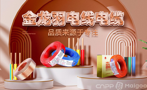 金龙羽，一条线缆里的中国制造进化论