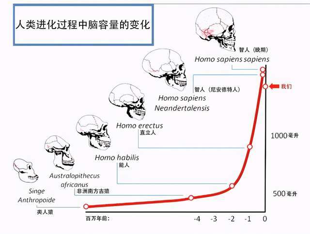 破壁与筑底，中国生物医学破解自主创新困局的路径抉择