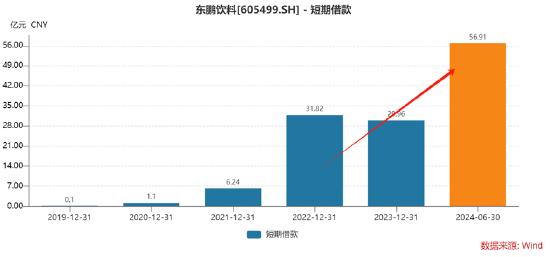 账本狂欢下的暗流，当虚假繁荣撞上净利润大幅下滑