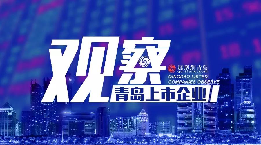 数字之外，一家企业与3.55亿利润背后的坚守与突围