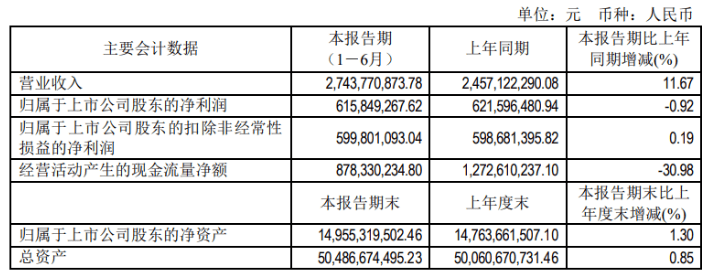 持股计划彰显发展信心，民生电新锚定长期价值新坐标