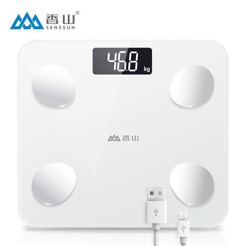 藏在体重秤里的健康管家，当体脂秤学会思考，减肥不再靠意志力