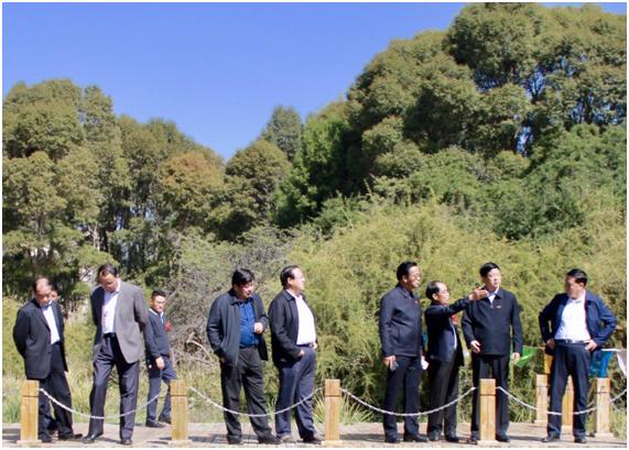 抽蓄即将进入投产期，电力系统的巨型充电宝如何重塑能源版图