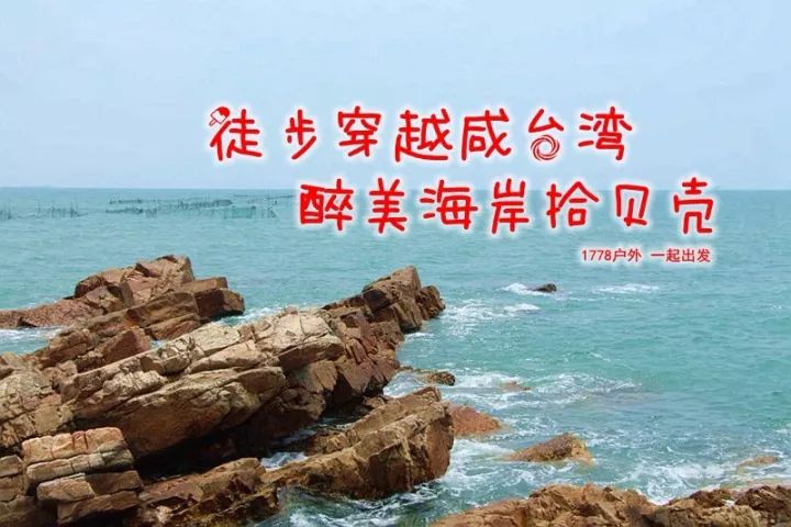 请勿在退潮时，捡起变回贝壳的海