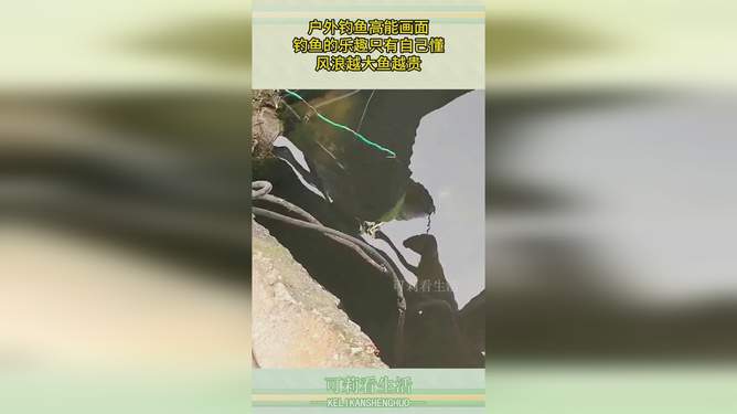 风浪越大鱼越贵，在不确定的时代，练就应对外部冲击的反脆弱筋骨