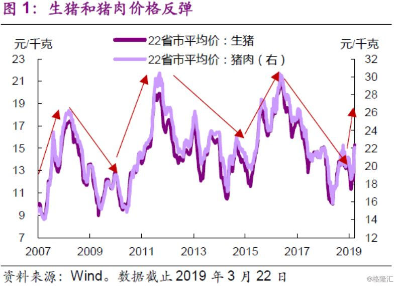 猪周期反转下的逆袭样本，神农集团2024年利润增超271%