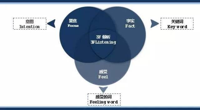 当分析师称‘表述需更清晰’一场关于语言、权力与真相的博弈
